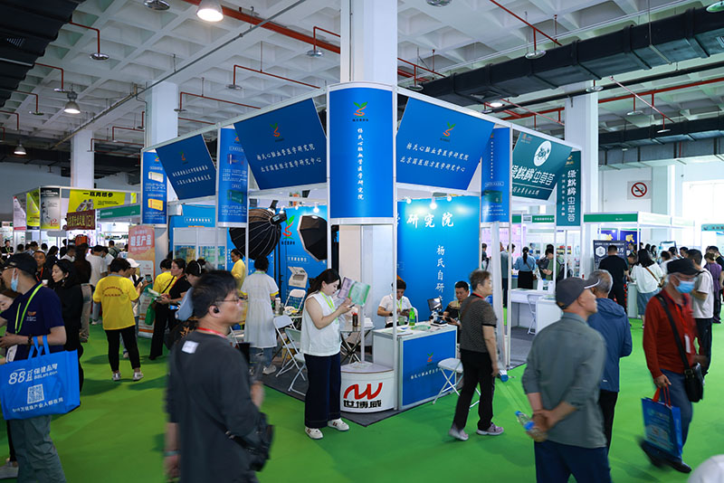 XUBO0239.jpg XUBO0239.jpg